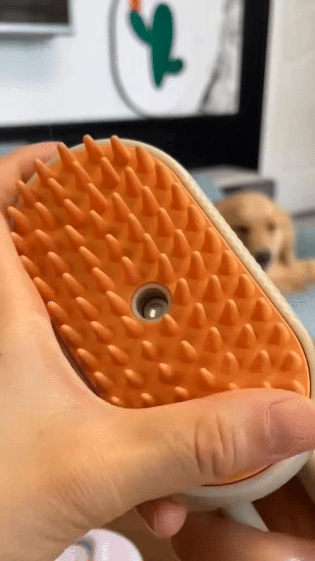 3-in-1 Electric Pet Brush - USB Rechargeable with Steam & Massage for Dogs & Cats