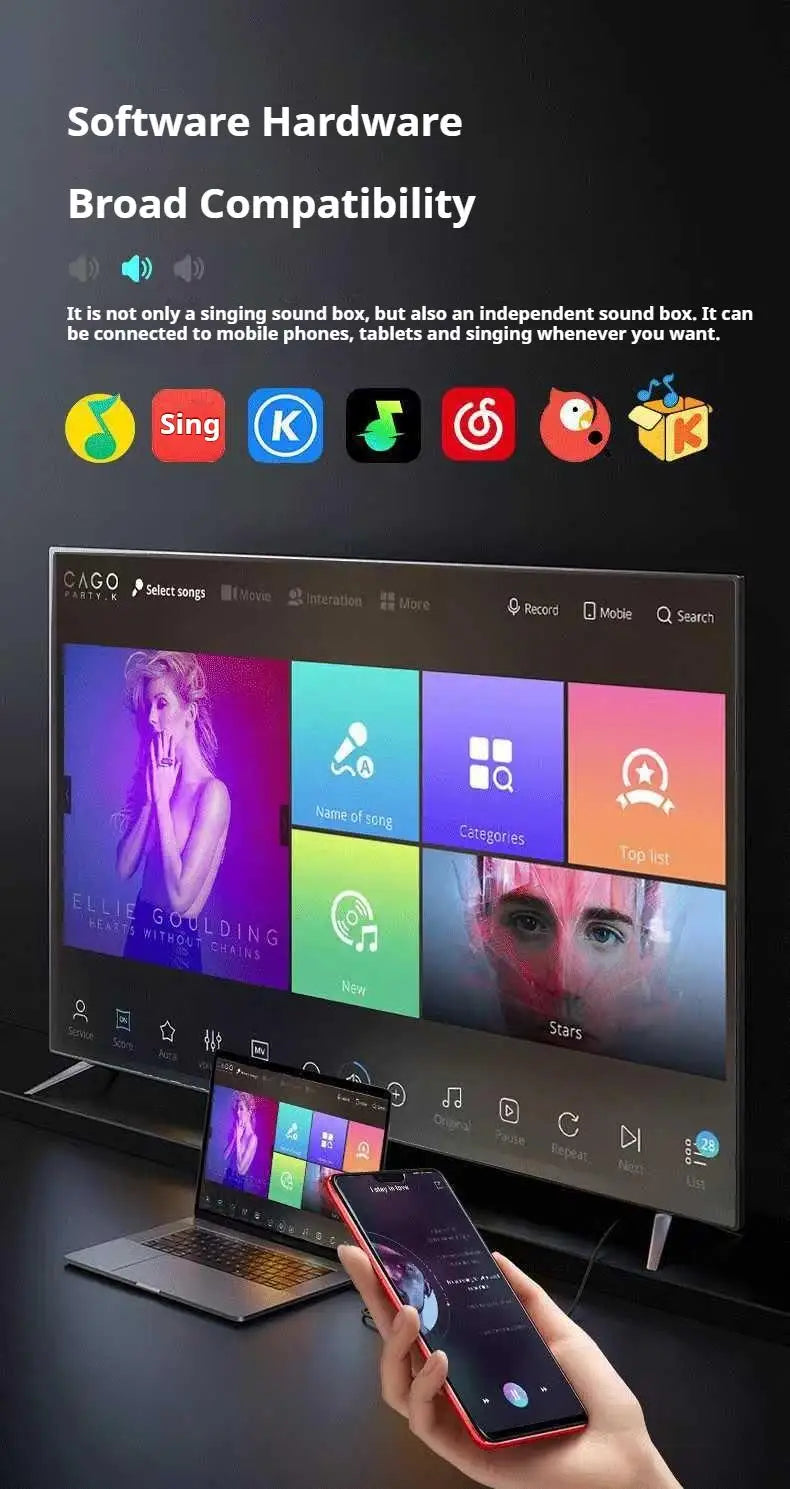 20W Wireless Bluetooth Speaker - Dual Microphones for Karaoke & Parties