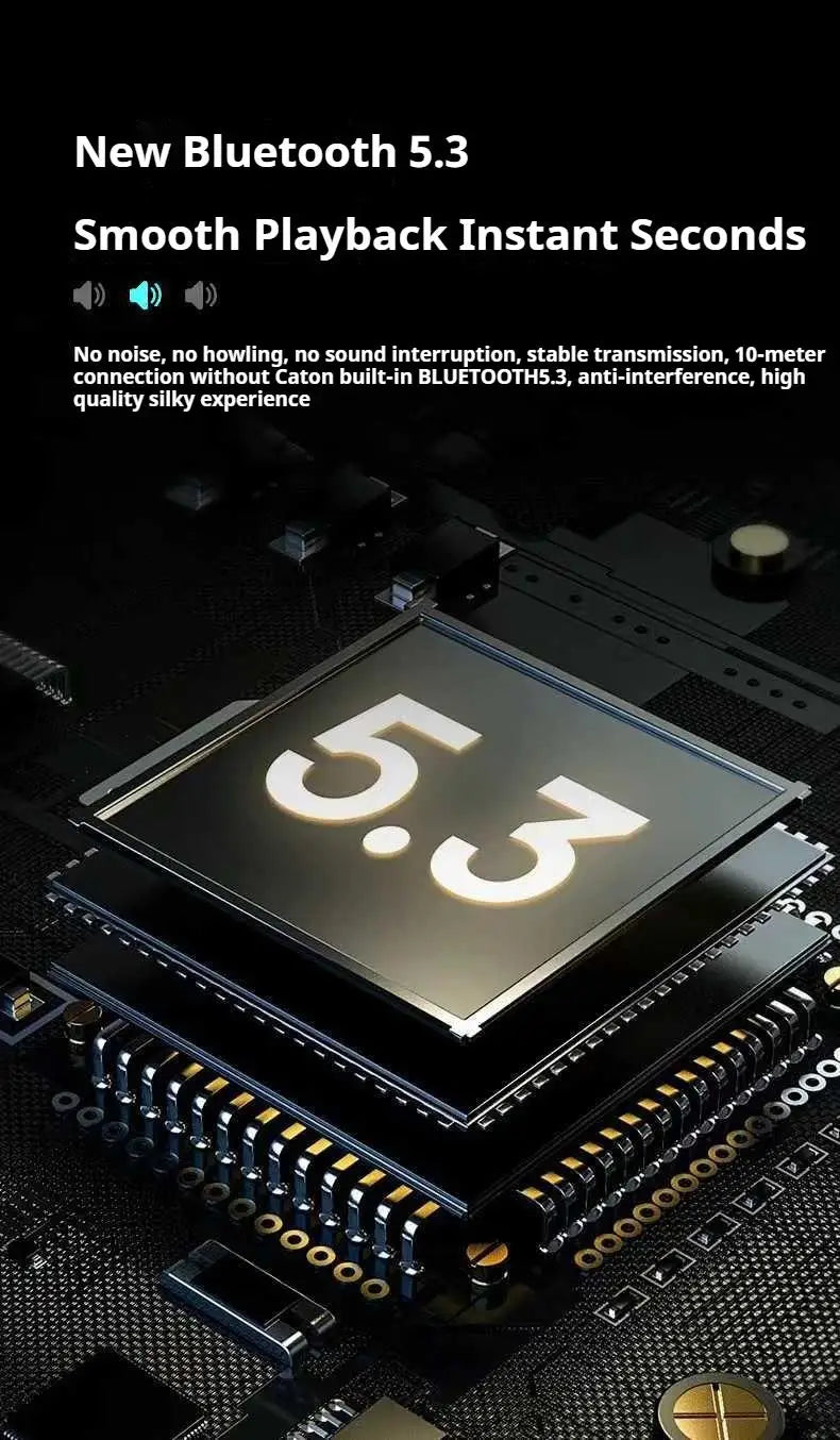 20W Wireless Bluetooth Speaker - Dual Microphones for Karaoke & Parties