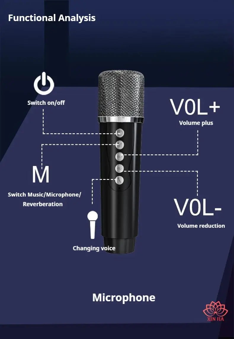 20W Wireless Bluetooth Speaker - Dual Microphones for Karaoke & Parties