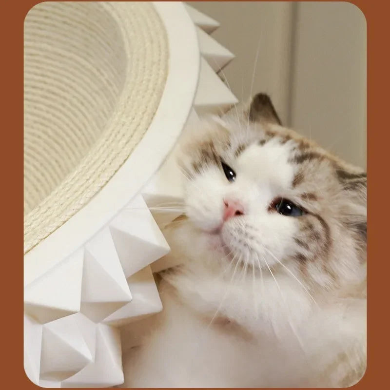 Scratch & Snooze Durian: Stylish Cat Nest with Sisal Fun