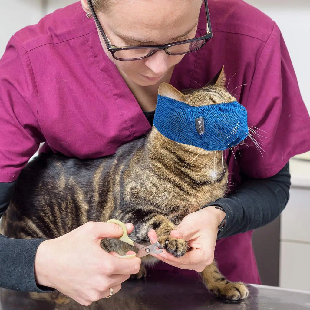 Breathable Cat Muzzle – Stress-Free Grooming & Vet Visits!