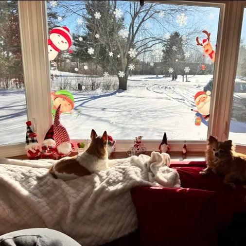 Christmas Window Decals - Snowflake Stickers for Holiday Window & Glass Decoration